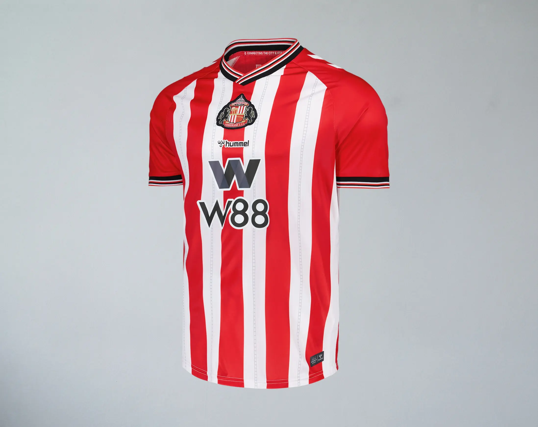 Top scorer fan of Sunderland AFC
